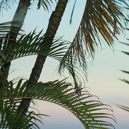 Villa Castillo Moro *