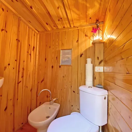 Willa Castillo Moro *