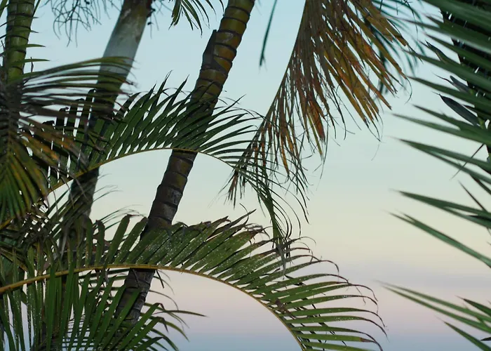 Willa Castillo Moro *